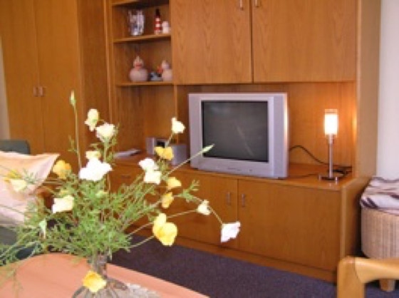 Wohnzimmer mit Fernsehwand